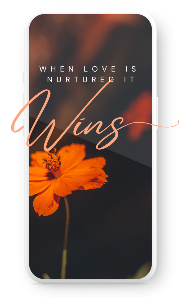 Love Nurtured Wins Relationship Coaching mobile image