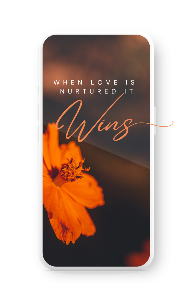 Laura Doyle Relationship Coach Lover Nurtured Wins 6 Month Coaching Package